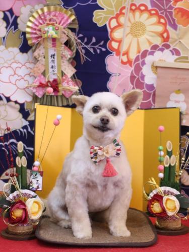 20240127ポンタくん